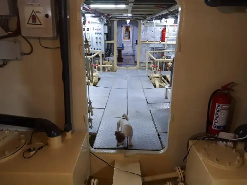 General Cargo/Multi-purpose προς πώληση