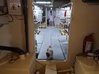 General Cargo/Multi-purpose προς πώληση