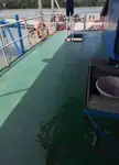 Αμφοβόλο προς πώληση