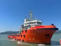 Πλοίο προμήθειας και χειρισμού άγκυρας (AHTS) προς πώληση