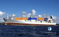 Ψυκτικό πλοίο προς πώληση