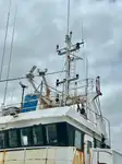 Τράτα προς πώληση