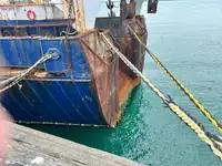 Τράτα προς πώληση