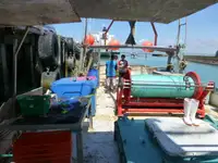 Τράτα προς πώληση