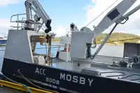 Πλοίο μεταφοράς εμπορευματοκιβωτίων προς πώληση