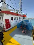 Πλοίο μεταφοράς εμπορευματοκιβωτίων προς πώληση