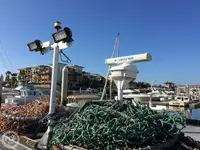 Τράτα προς πώληση