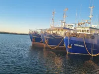 Τράτα προς πώληση