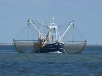 Trawler προς πώληση
