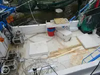 Τράτα προς πώληση
