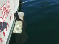 Τράτα προς πώληση
