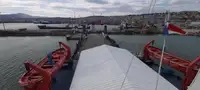 Πλοίο μεταφοράς χύδην φορτίου προς πώληση