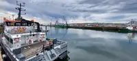 Καταμαράν προς πώληση