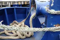 Ρυμουλκό πλοίο προς πώληση