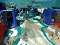 Trawler προς πώληση