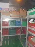 Ψυκτικό πλοίο προς πώληση