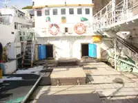 Πλοίο αλιείας με μακρύ σχοινί προς πώληση