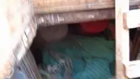 Τράτα προς πώληση