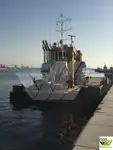 Εργατικά πλοία προς πώληση