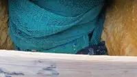 Τράτα προς πώληση