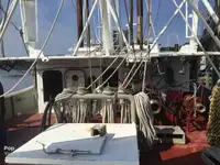 Τράτα προς πώληση