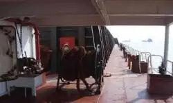 Πλοίο αποβατικής προέλευσης, δεξαμενόπλοιο προς πώληση