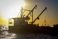 Εργατικά πλοία προς πώληση