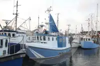 Φορέας ζωντανών ψαριών προς πώληση