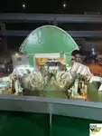 Πλοίο τύπου Ro-Ro προς πώληση