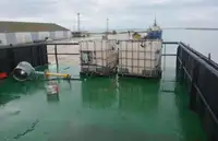 Αμφοβόλο προς πώληση