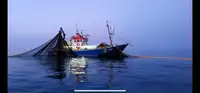 Trawler προς πώληση
