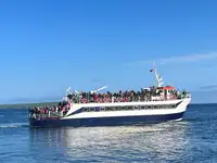 Επιβατηγό πλοίο προς πώληση