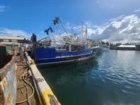 Τράτα προς πώληση