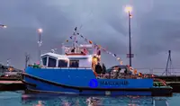 Ρυμουλκό πλοίο προς πώληση