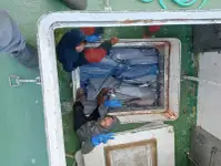 Τράτα προς πώληση