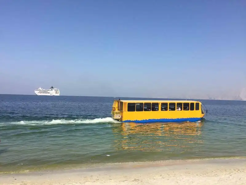 Αμφίβιο προς πώληση
