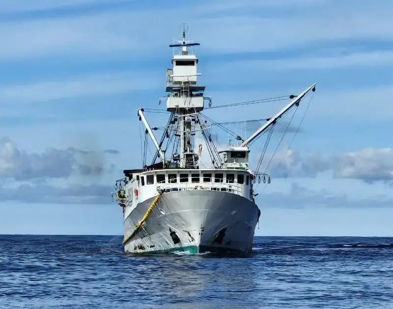 γρι -γρι προς πώληση