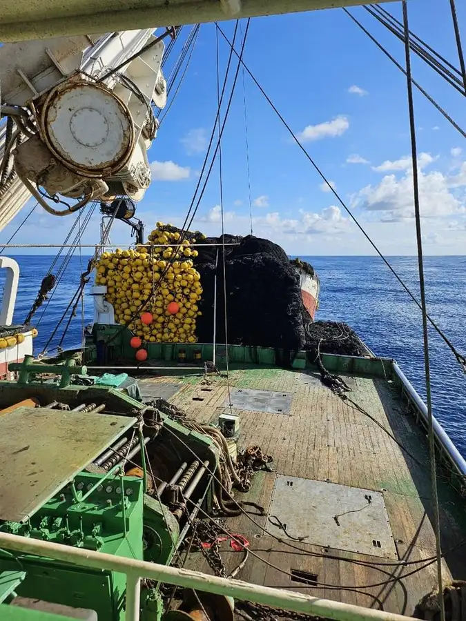 γρι -γρι προς πώληση