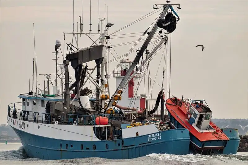 γρι -γρι προς πώληση