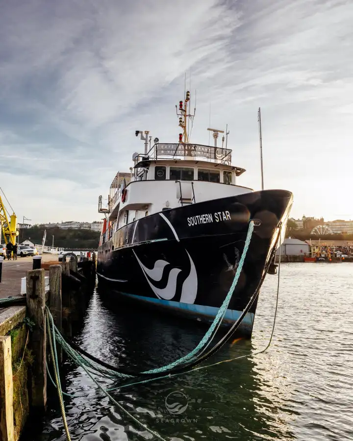 Σκάφος έρευνας προς πώληση