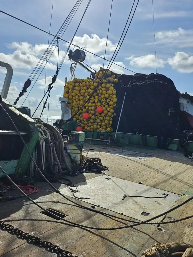 γρι -γρι προς πώληση