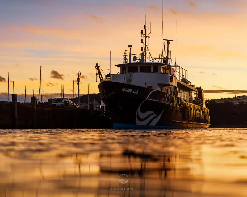 Σκάφος έρευνας προς πώληση
