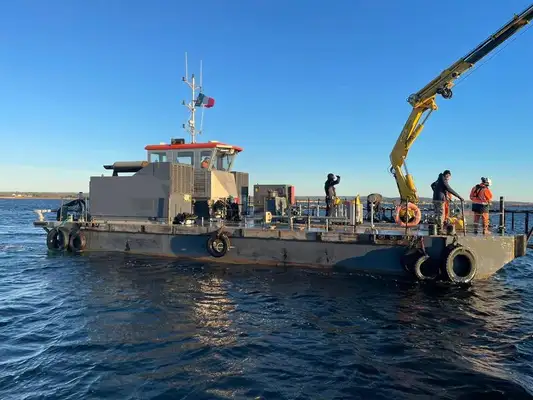 Multi-purpose for sale