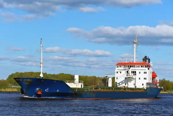 Bulk carrier for sale