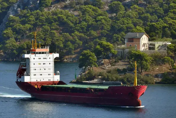 Bulk carrier for sale