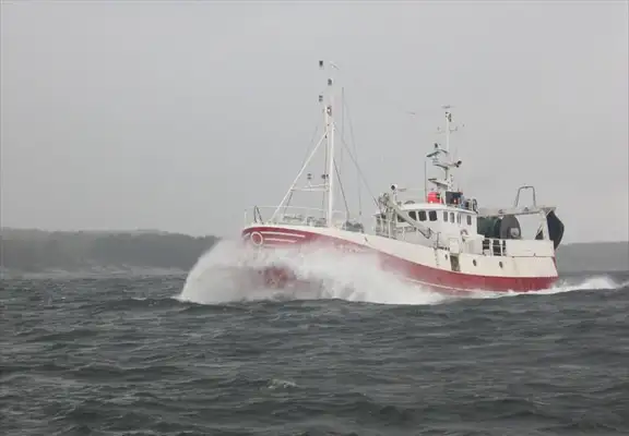 Fishing Trawler for sale