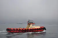 Ρυμουλκό πλοίο προς πώληση