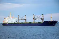 Πλοίο μεταφοράς χύδην φορτίου προς πώληση