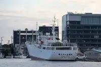 Τράτα αλιείας προς πώληση