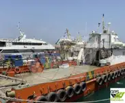 σκάφος αιολικού πάρκου προς πώληση